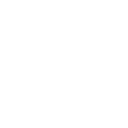 orbit